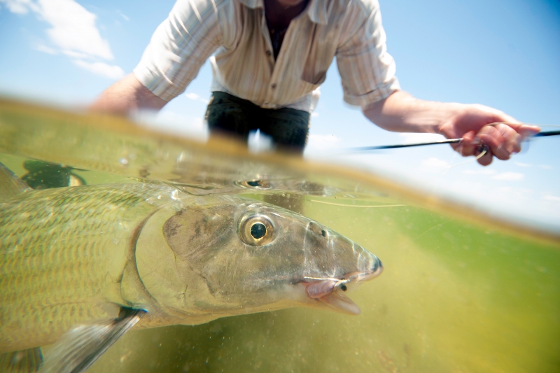 Bonefish-1800