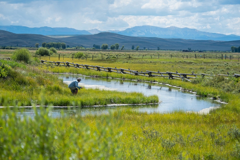 Griber-Spring-Creek